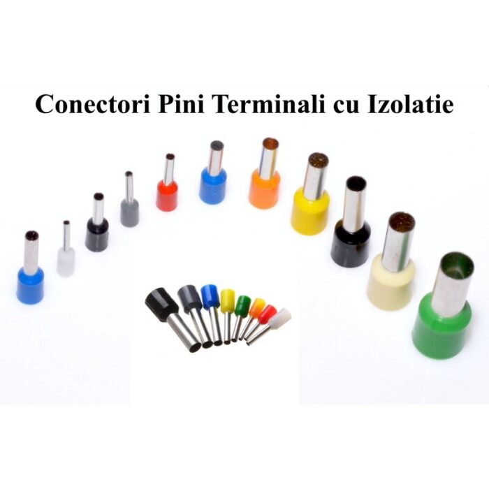 image_6695363d2fe4c9.67472251.jpg